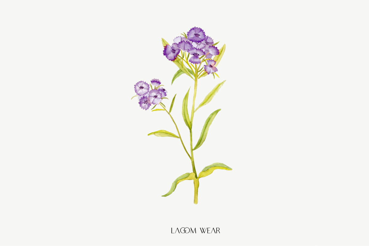 Lagom Wear Message Card
